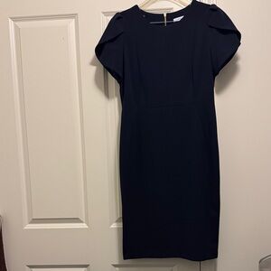 Calvin Klein Navy Dress